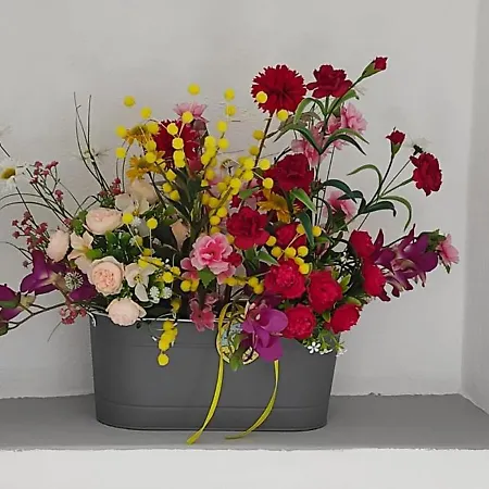 La Follia Dell'architetto בית נופש בארי