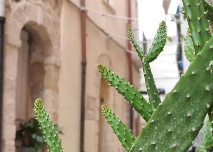 La Follia Dell'architetto * Bari